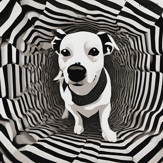 Černobílý pes v tunelu